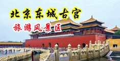 啊啊啊好大好骚在线观看中国北京-东城古宫旅游风景区